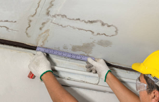 Reliable Water Removal contractor in Sidney, MI by Water Damage Irwin